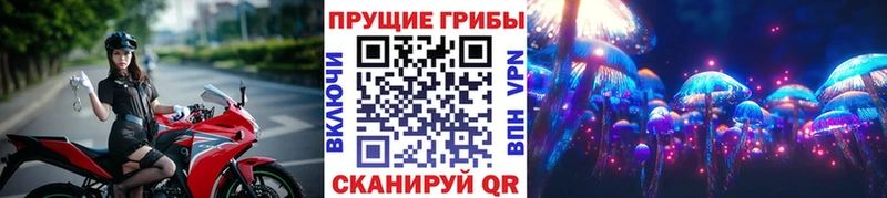 Купить  Невьянск  Псилоцибиновые грибы мицелий 